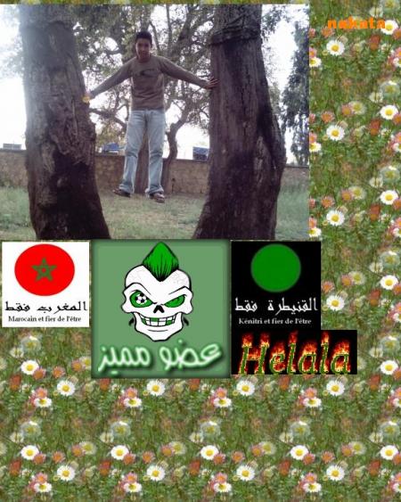 nakata waldi kenitra